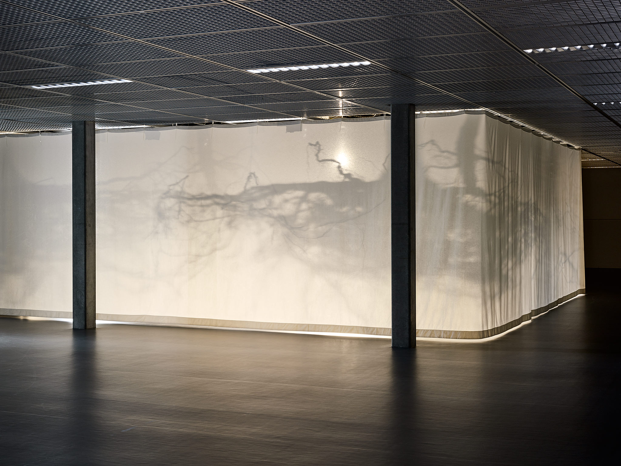 LIVE MATTER - Design Vegetal